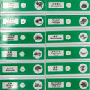 48pcs Prepared Plastic Microscope Slides Biological Specimen with 4 Boxes for Children Student Enlighten Education by TinyTreasures Baby Boutique