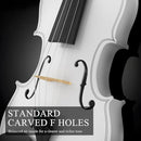 4/4 Beginner Violin Kit for Adults, Complete Full Size Violin Set with Portable Case, Bow, Rosin, White by TinyTreasures Baby Boutique