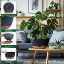 8/10/12 Inch Pots for Indoor Plants, Large Self Watering Planters with Drainage and Saucers, Plastic Outdoor Flower Pot, Set of 3, Grey by GreenHaven Gardens