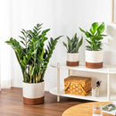 vancasso Ceramic Pots for Plants, Plant Pots for Indoor Plants, 6.25+8.25+10.25 Inch Ceramic Planters, Flower Pots with Drainage Holes, Planters Pot for Indoor House Plant, Set of 3, Khaki by CozyNest Decor