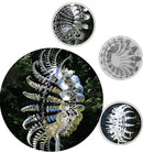 Unique and Magical Metal Windmill, 3D Wind Powered Kinetic Sculpture, Metal Wind Spinner Solar, Wind Spinners for Yard and Garden, Wind Catchers Metal Outdoor Patio Decoration (2 PCS -Silver) by CozyNest Decor
