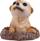 Meerkat Statue - Charming Meerkat Garden Animal Statue: Lifelike Decor Accent for Your Yard or Patio - Add Personality to Your Outdoor Space by CozyNest Decor