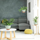 Hanging Planters for Indoor Outdoor Plants, 2 Pack Self Watering Hanging Pot with Drainage Holes & Removable Tray (Green, 10'') by CozyNest Decor