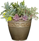 Classic Home and Garden Corinthian Resin Flower Pot Planter, Bronze, 10" by GreenHaven Gardens