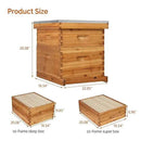 VINGLI 10 Frames Beehive, Complete Beehive Kit Includes 1 Deep Boxes, 1 Medium Box, Frames and Waxed Foundations, for Yard, Field, Bee Farm (2 Layer) by GreenHaven Gardens