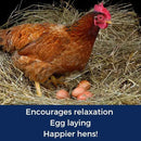Pampered Chicken Mama Best Eggs Ever! Nesting Herbs for Chickens (4 Pounds) Calcium Supplement for Chickens | Chicken Feed Supplies, Hen Treats for Coops by GreenHaven Gardens