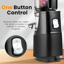 Cold Press Juicer,Slow Masticating Juicer Machines with 5.3" Large Feed Chute for Most Fruits and Vegetables,Easy to Clean Lemon Orange juicer with 250W Motor and High Juice Yield (Obsidian black) by CozyNest Decor