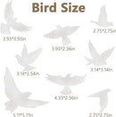 9 Sheets Bird Window Clings, Protect and Save Bird Strikes Window Stickers, Glass Door Stickers Decals, Stop Birds Flying into Windows Accessories Home Decorations by CozyNest Decor
