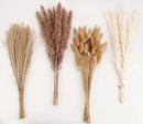 Natural Dried Pampas Grass Decor, Brown Pampas Grass， Bunny Tails Dried Flowers, Reed Grass Bouquet for Wedding Boho Flowers Home Table Decor, Fall Decor，Rustic Farmhouse Party (100 in Total ) by CozyNest Decor
