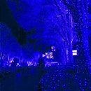 HISHINY LED Blue Christmas Net Lights Outdoor Christmas Decorations 5ftx5ft 100LED Green Wire,Connectable Outdoor Indoor Yard Mesh Shrub Net Lights String for Halloween Chritmas Party,Tree,Bush(Blue) by GreenHaven Gardens