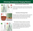 Hanging Planter Self Watering 10 Inch, 2 Pack Indoor Outdoor Hanging Baskets, Hanging Flower Pots with Drainage Hole & 2 Kinds of Plant Hangers for Garden Home Decor(Green)… by GreenHaven Gardens