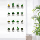 4-TierClear Plant Shelves, Height Adjustable Hanging Acrylic Indoor Wall Hanging Plant Stand Flower Display, Flower Pot Organizer Storage for Window Grow Herbs, Microgreens, Succulents, 16 Inch by GreenHaven Gardens