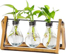 Marbrasse Plant Propagation Stations with Wooden Stand, Desktop Plant Terrarium Holder Bulb Vase, Glass Vase Container with Metal Swivel Holder for Hydroponics of Home Garden Office Decor Lover Gifts by GreenHaven Gardens