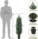 THE BLOOM TIMES 4ft Topiary Trees Artificial Outdoor 2 Pack – UV Resistant Faux Cedar Pine Cypress Bushes and Shrubs, Fake Potted Plants for Front Porch Outside Planter Patio Decor, Set of 2 (4 Foot) by GreenHaven Gardens