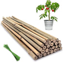 Plant Stakes,18 Inches Natural Garden Bamboo Sticks,BOVITRO 20Pcs Plant Support Stakes for Tomatoes,Beans,Vegetable and Potted Plants by GreenHaven Gardens