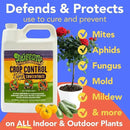 Trifecta Crop Control Super Concentrate All-in-One Natural Pesticide, Fungicide, Miticide, Insecticide, Help Defeat Spider Mites, Powdery Mildew, Botrytis, Mold and More on Plants 32 OZ by GreenHaven Gardens