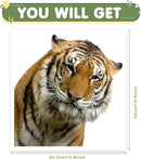 Gentle Tiger Wall Stickers & Decals - Peel & Stick, Removable Funny Tiger Window Stickers for Farmhouse Bedroom, Living Room & Shop Windows by CozyNest Decor