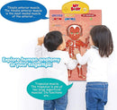 BEST LEARNING i-Poster My Body - Interactive Educational Human Anatomy Talking Game Toy | Learn Body Parts, Organs, Muscles and Bones for Kids Aged 5 to 12 Years Old by TinyTreasures Baby Boutique