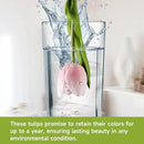 Buart Artificial Tulip in Bulk for Home Kitchen Wedding Bridal Bouquet,Fake Flowers for Valentine's Day Mother's Day Easter Table Centerpieces Decorations(Large Size,Pink,Real-Touch,12pcs) by CozyNest Decor