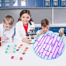 35PCS Prepared Microscope Slides with 7 Types Specimens, Insect/Plant Glass Sample Slide for Kids Adults Family Preschool Education Scientific Enlightenment by TinyTreasures Baby Boutique