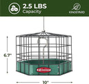 Kingsyard Squirrel Proof Platform Bird Feeders for Outdoor Hanging, Caged Bird Feeder for Small Wildbirds, Recycled Plastic Feeding Platform with Metal Seed Tray, Green by GreenHaven Gardens