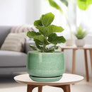 G EPGardening Ceramic Planter - 9 Inch Plant Pot with Drainage Hole and Saucer, Modern Round Planter, Flower Pot for Indoor Outdoor Plants, Garen House Room Decor, Housewarming Gifts, Green by GreenHaven Gardens