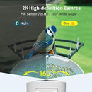 Smart Bird Feeder with Camera Solar Powered & AI Bi rd Identification, 2.4Ghz WiFi Bird feeders for Outdoors, 2K Live Video, Nstant Arrival Alerts - Best Gifts for Bi rd Lovers - Green by CozyNest Decor