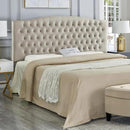 24KF Upholstered Tufted Button Velvet Headboard,Comfortable Fashional Headboard King/CA King Size,Taupe by CozyNest Decor