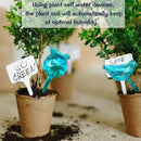 Plant Self Watering Globes - 10pcs Flower Self Watering Planter Insert, Plastic Self Watering Bulbs Auto for Plants, Garden Water Device Drippers System for Travel Business Trip Plant Self-Watering by GreenHaven Gardens
