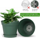 Homenote Plant Pots,15 Pack 6 inch Flower Pots with Multiple Drainage Holes and Saucers,Plastic Planters for All Home Garden Flowers Succulents(Green) by GreenHaven Gardens