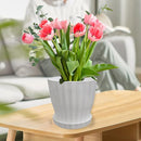 Flower Pots Outdoor Clearance 6 inch Set of 5 Succulent Planters for Indoor Plants Garden Home Holiday, Plastic Nursery Pots for Plants with Drainage Holes and Saucer, Modern Plant Pot White by GreenHaven Gardens
