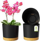 ZMTECH Plant Pots, Set of 3 8'' Self Watering Plastic Planter with Drainage Hole and Saucer, Modern Decorative Flower Pot for Indoor Outdoor House Plants, Succulents, Flowers - Dark Gray by GreenHaven Gardens