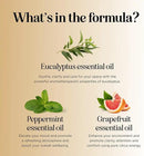 Focus Essential Oil Blend for Diffusers - Aromatherapy Essential Oils Blend for Home and Travel Energy Focus and Attention Support with Grapefruit Bergamot Peppermint and Eucalyptus (2 Fl Oz) by CozyNest Decor