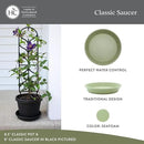 The HC Companies 12 Inch Round Plastic Classic Plant Saucer - Indoor Outdoor Plant Trays for Pots - 12.5"x12.5"x2.13" Seafoam (Pack of 2) by GreenHaven Gardens