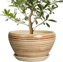 Ceramic Pot for Plants - 13 Inch Planter for Outdoor Plants Indoor Plant Pot with Drainage Hole and Saucer Large Planter Round Flower Pot for House Patio Garden Decor Yellow by GreenHaven Gardens