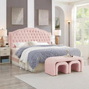 24KF Upholstered Button Tufted King Size Headboard with Nailhead Trim, Elegant Boucle Fabric California King headboard, 6031-K-Boucle-Pink by CozyNest Decor
