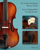 Fesley Violin Fiddle Full Set: 4/4 Matt Violin Kit for Beginners, Acoustic Violin with Hard Case, Solidwood Hand Made Starter Kit with Bow, Rosin, Shoulder Rest, Tuner, Extra Strings by TinyTreasures Baby Boutique