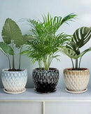 vensovo 7.5 Inch Ceramic Plant Pot with Drainage Holes and Saucer - Large Round Orchid Pot for Indoor Repotting, Ceramic Planter Maintain Air Circulation, Blue by GreenHaven Gardens