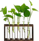 XXXFLOWER Wall Hanging Terrarium Planter with 5 Test Tubes,Wall Planters for Indoor Plants,Plant Lover Gifts for Women Garden Office Decoration by GreenHaven Gardens