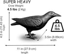 NACH Crow Decor, 4.5 x 11 x 3.5 inch, Cast Iron Black Raven Statue, Raven Decor for Outside - Head Up Crow Statue by GreenHaven Gardens