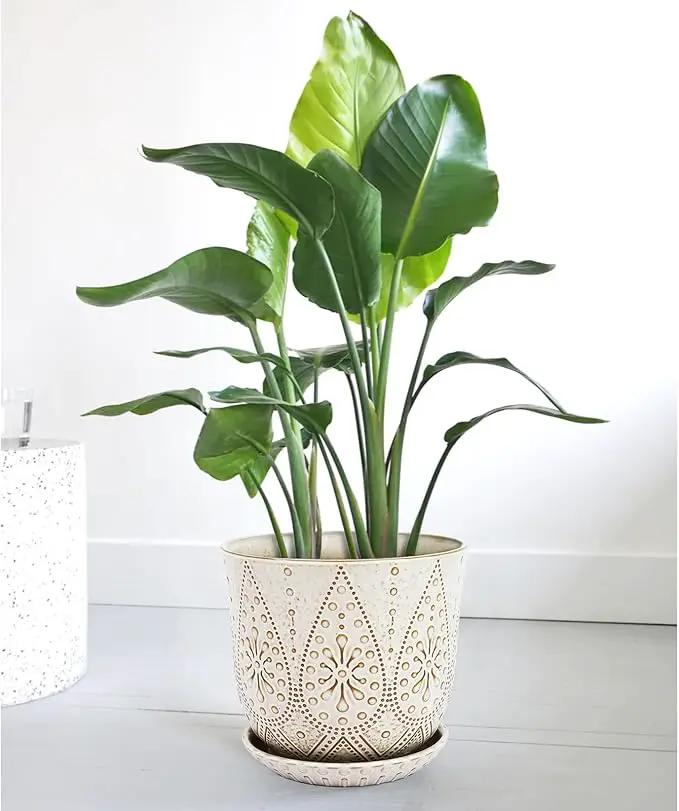 Gepege 10 Inch Plant Pot, Creamy White Ceramic Planter with Drainage Holes and Saucers for Plants Indoor and Outdoor Flower Pot, photo 7 of 7