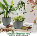 Planter Pots with Drainage Holes - Lightweight, Durable & Space-Saving Pots for Indoor and Outdoor - Versatile Functionality, Simple Modern Design, Set of 10 Plastic Planter Pots - Gray by GreenHaven Gardens