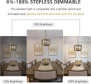 ANKYLHUA Black Gold Chandelier,6-Lights Ceiling Light Fixture E12,Adjustable Hight Pendant Lights Kitchen Island,Chandeliers for Dining Room,Bedroom,Entryway,Foyer by CozyNest Decor
