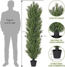 THE BLOOM TIMES 6ft Tall Topiary Trees Artificial Outdoor – UV Resistant Faux Cedar Pine Cypress Bushes and Shrubs, Fake Potted Plants for Front Porch Outside Planter Patio Decor, Set of 2 (6 Foot) by GreenHaven Gardens