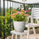 Ceramic Pots for Plants - 8 Inch Plant Pot with Drainage Hole and Saucer Large Planter Pot for Indoor Plants Outdoor Modern Flower Pot Home Decor White by CozyNest Decor