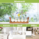 Retro Wood Stand Plant Terrarium with 5 Air Planter Bulb Glass Vases, Perfect for Home, Office, or Wedding Decor. Great Desktop Propagation Station and Plant Lover Gift for Women (5 Bulb Vase) by CozyNest Decor