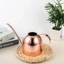 IMEEA Indoor Watering Can for House Plants 33oz/1L Stainless Steel Watering Can with Long Spout (Rose Gold) by GreenHaven Gardens