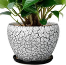 Ceramic Planter Pot - 6 Inch Plant Pot with Drainage Hole and Saucer, Succulent Pot Glaze Round for Indoor Outdoor Plants, White and Black by GreenHaven Gardens