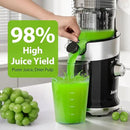 Aeitto Cold Press Juicer, Juicer Machines with 4.9" Large Feed Chute, Fits Whole Vegetables and Fruits, Professional Juice Maker, Easy to Clean, High Juice Yield, Easy to Assemble,Black by CozyNest Decor