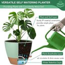 montresor 2 Pack 8 inch Plant Pots, PP Plastic Self Watering Plant Pot with Drainage and Tray for Indoor Outdoor Plants, Water Level Window & Reservoir Flower Pots Decorative Planter (Green) by CozyNest Decor